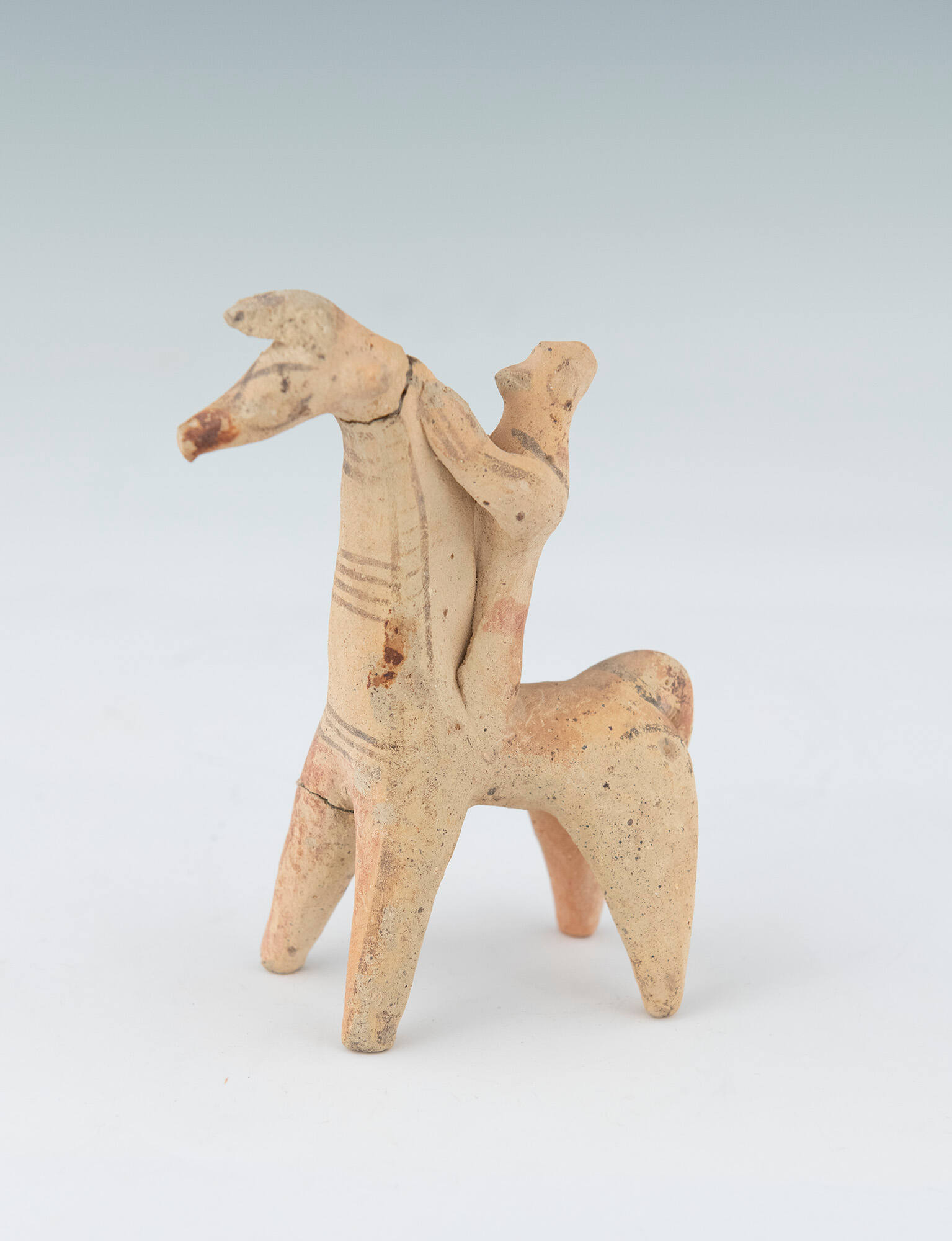Horse and Rider