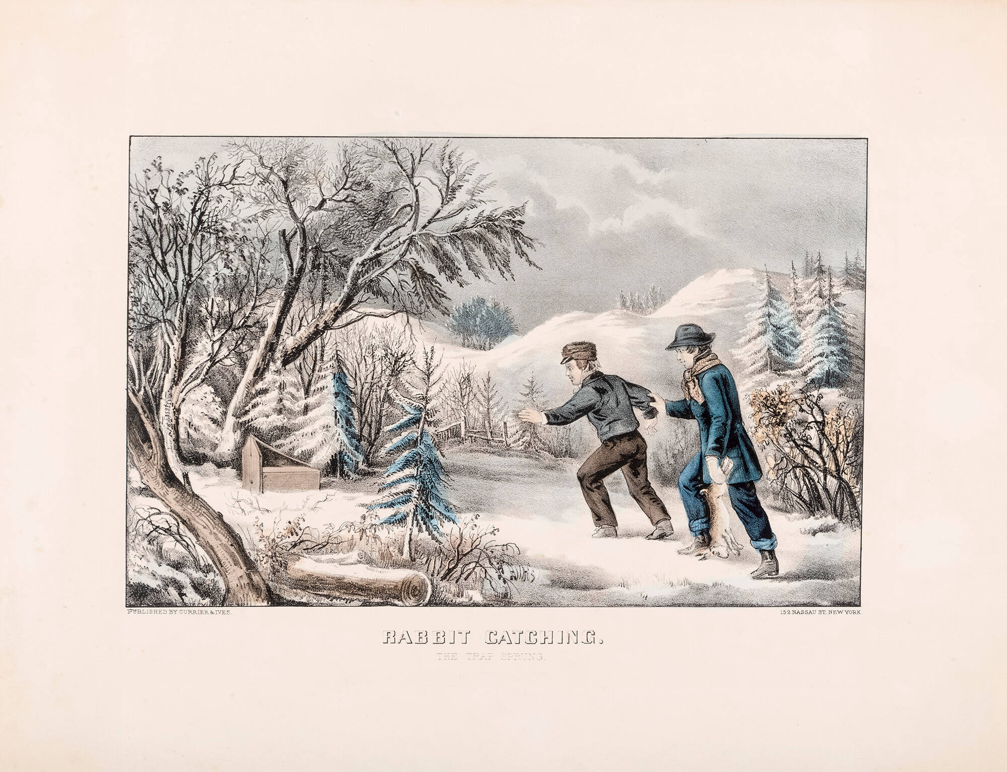 Rabbit Catching: The Trap Sprung