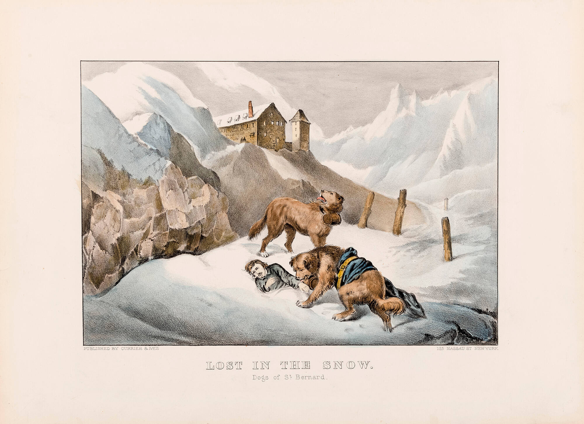 Lost in the Snow: Dogs of St. Bernard