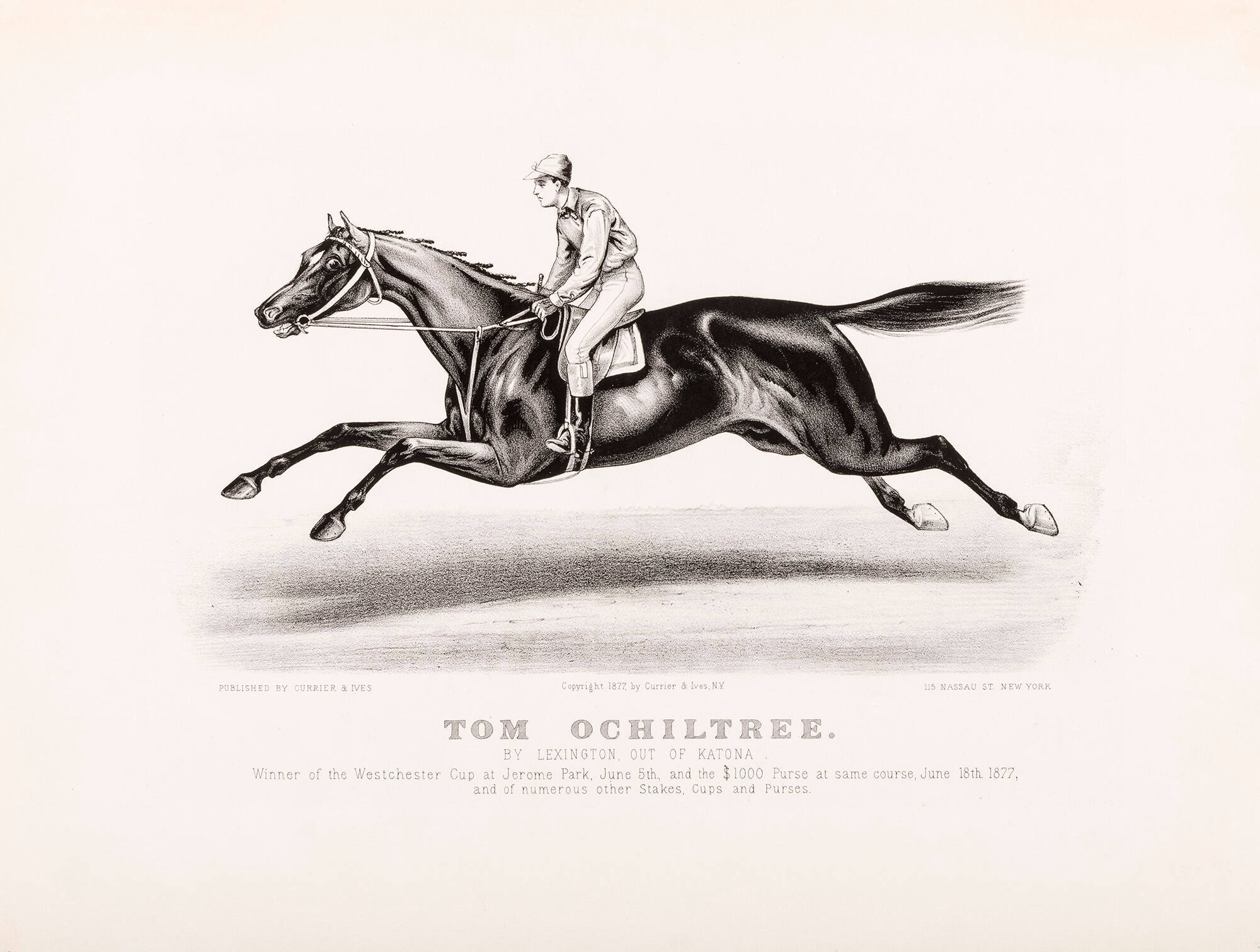 Tom Ochiltree: By Lexington, Out of Katrona