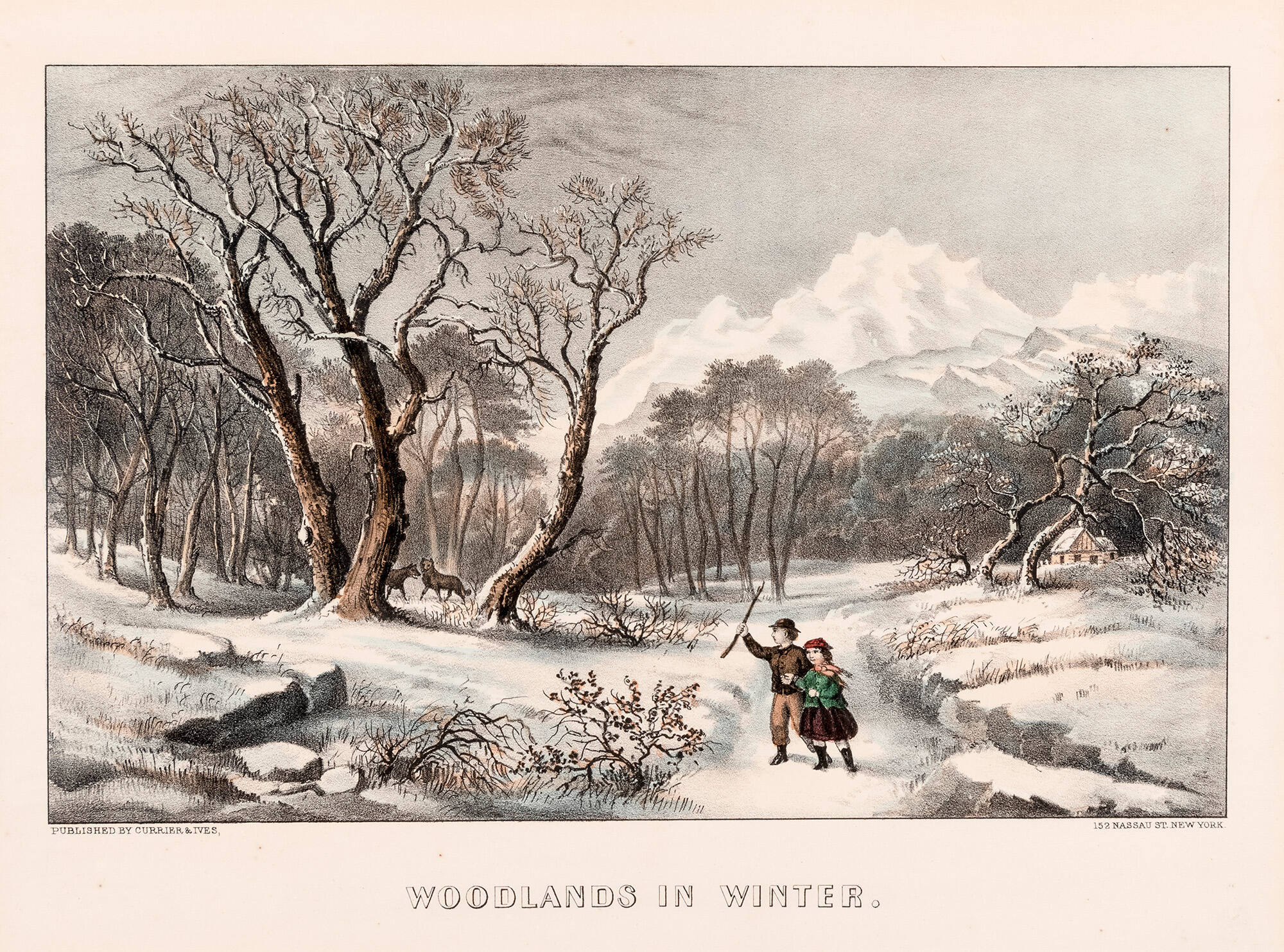Woodlands in Winter