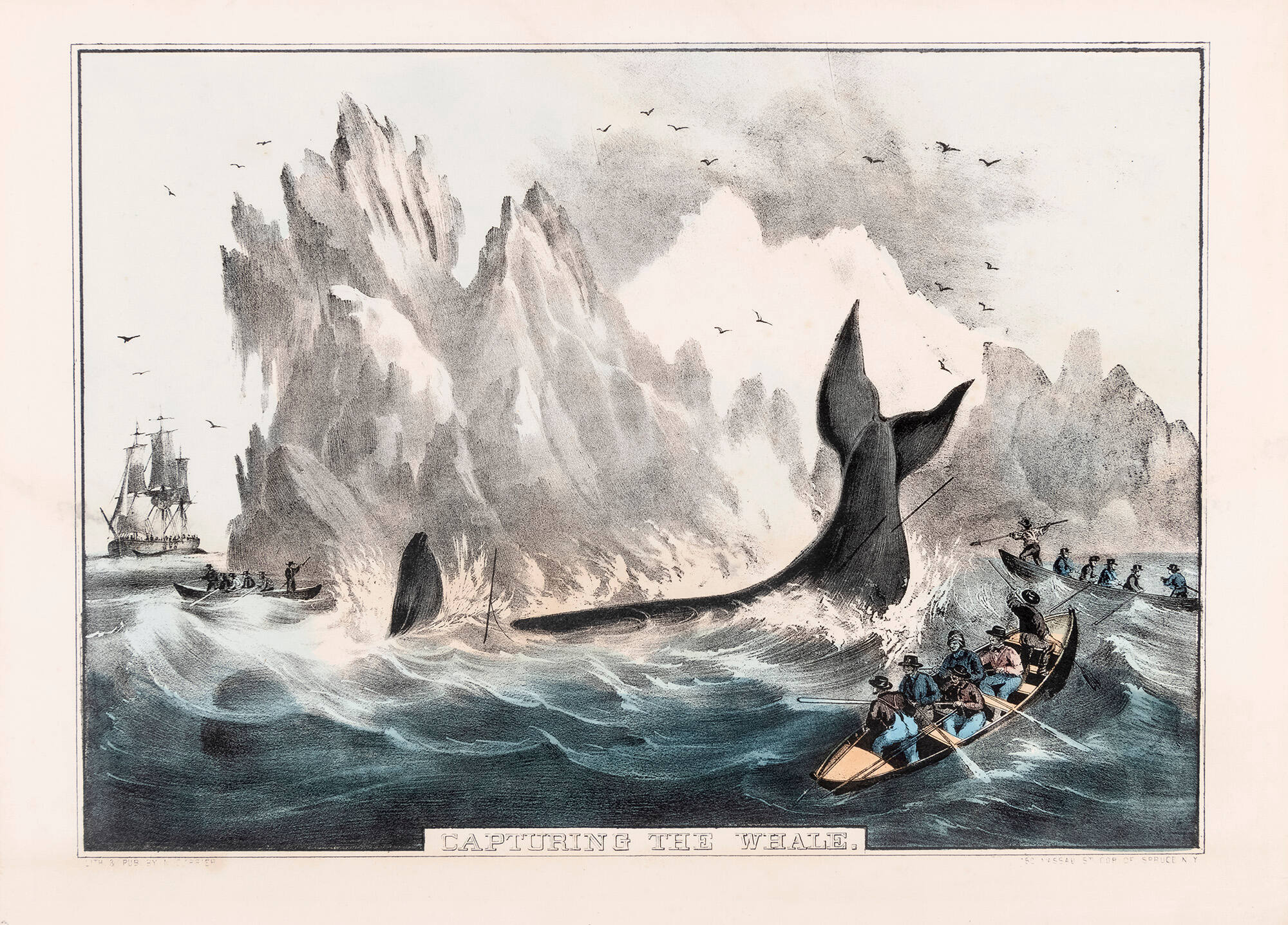 Capturing the Whale