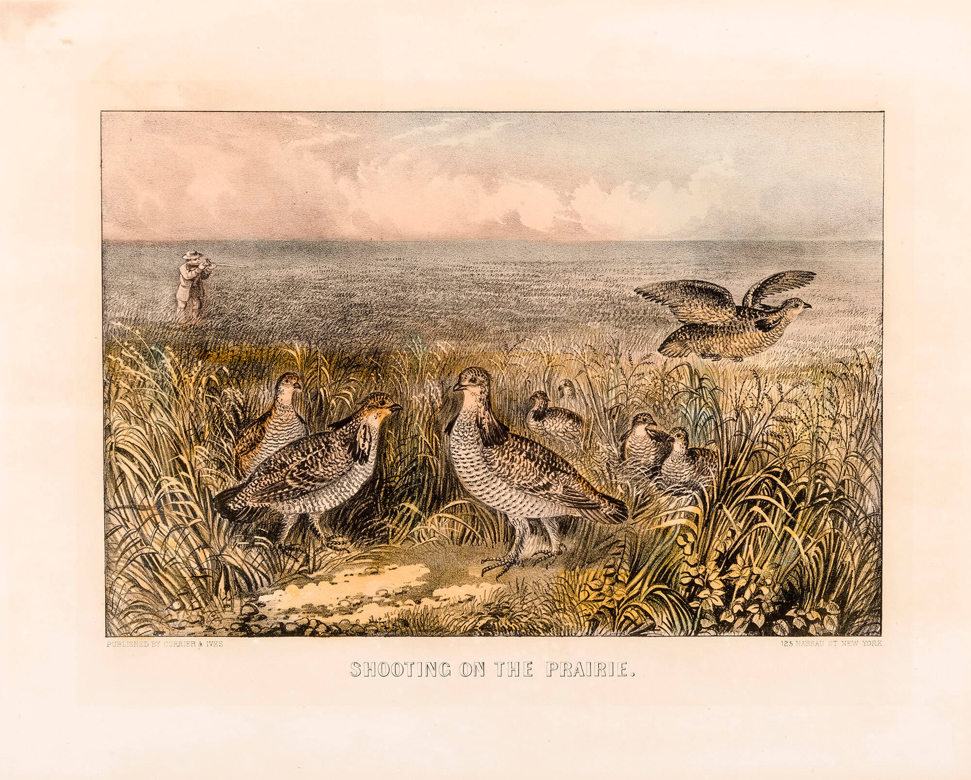 Shooting on the Prairie