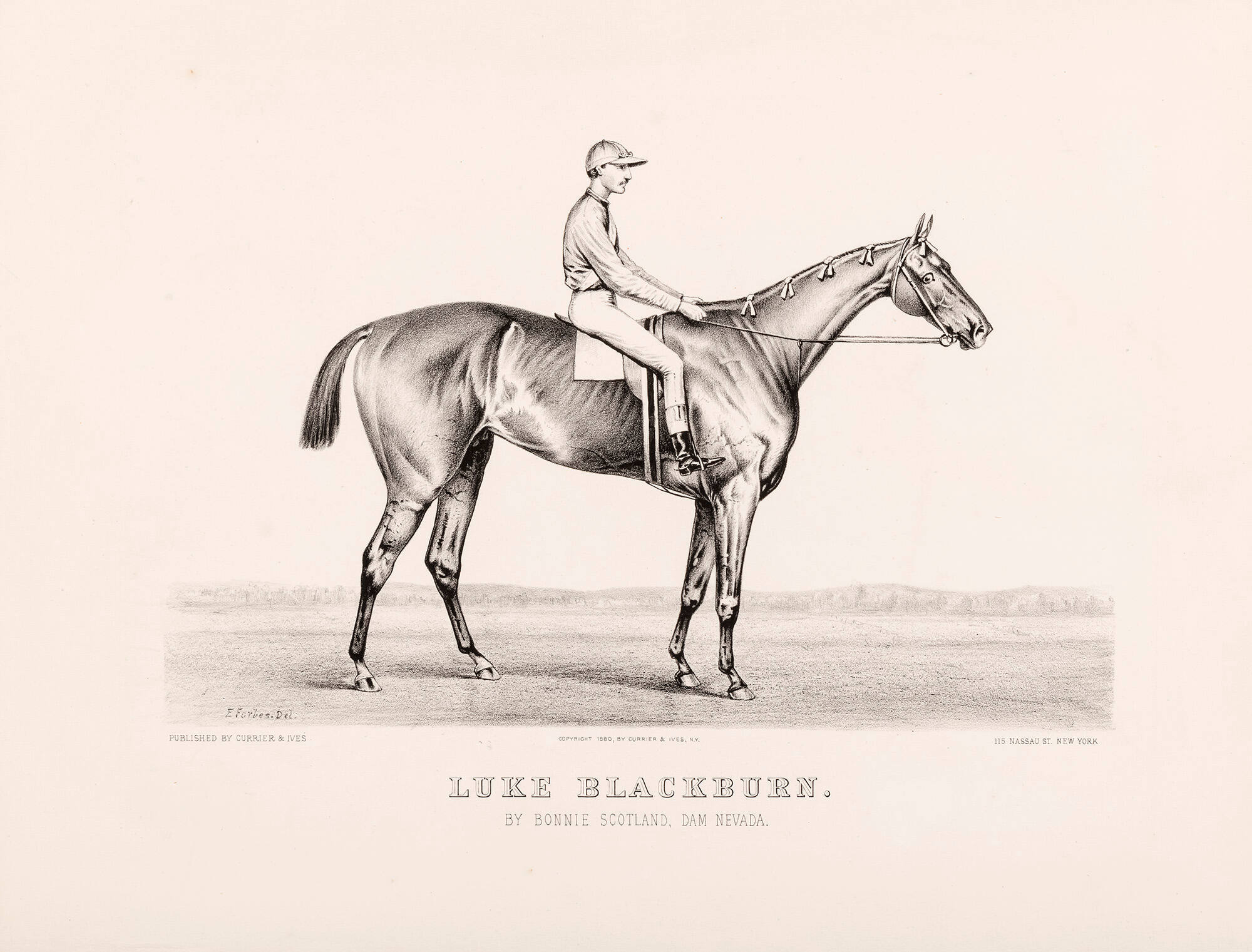 Luke Blackburn: By Bonnie Scotland, Dam Nevada