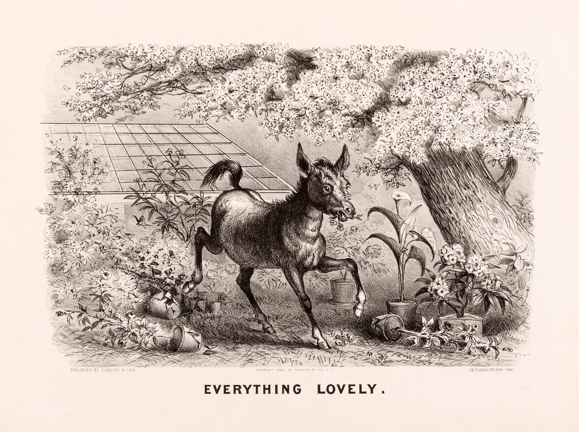 Everything Lovely