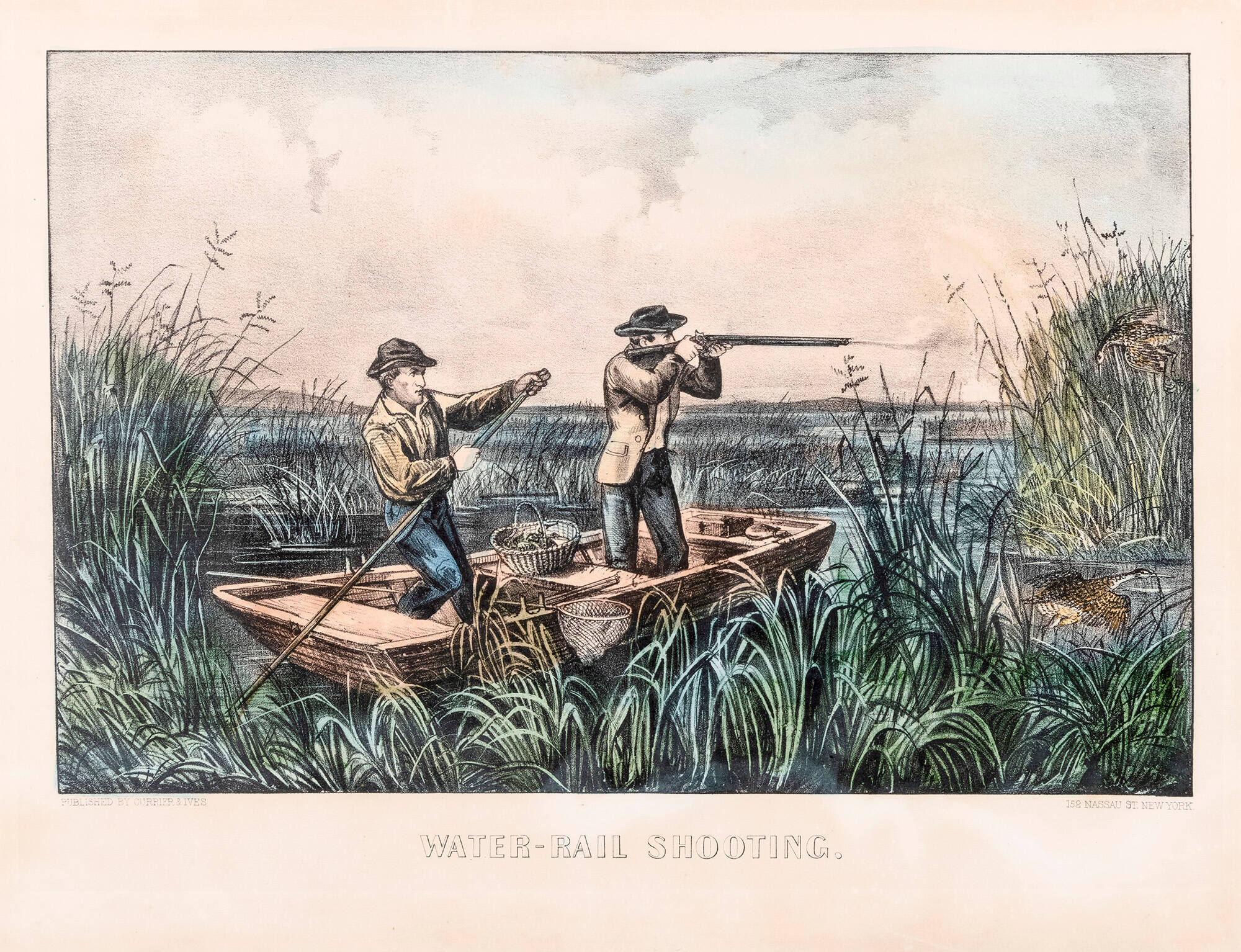 Water-Rail Shooting