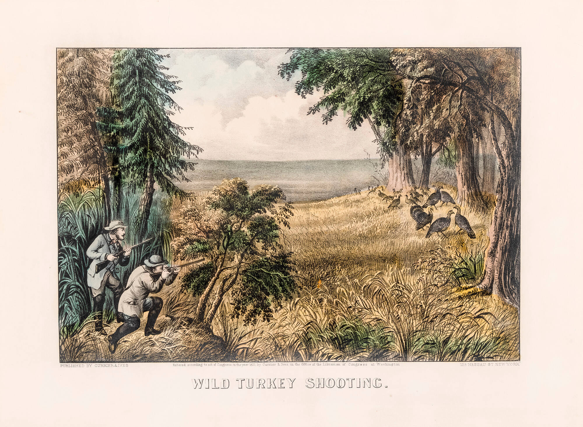 Wild Turkey Shooting