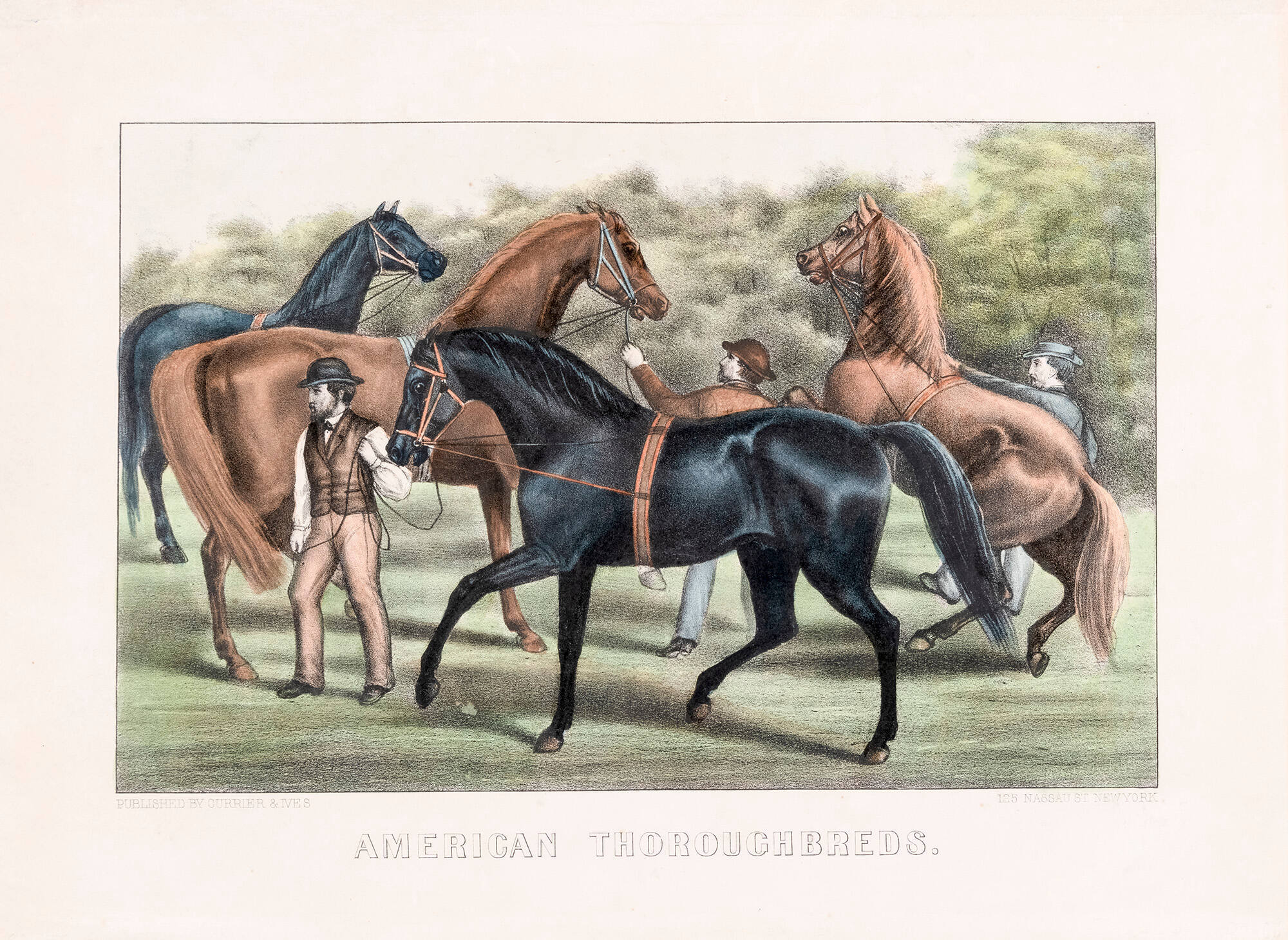 American Thoroughbreds