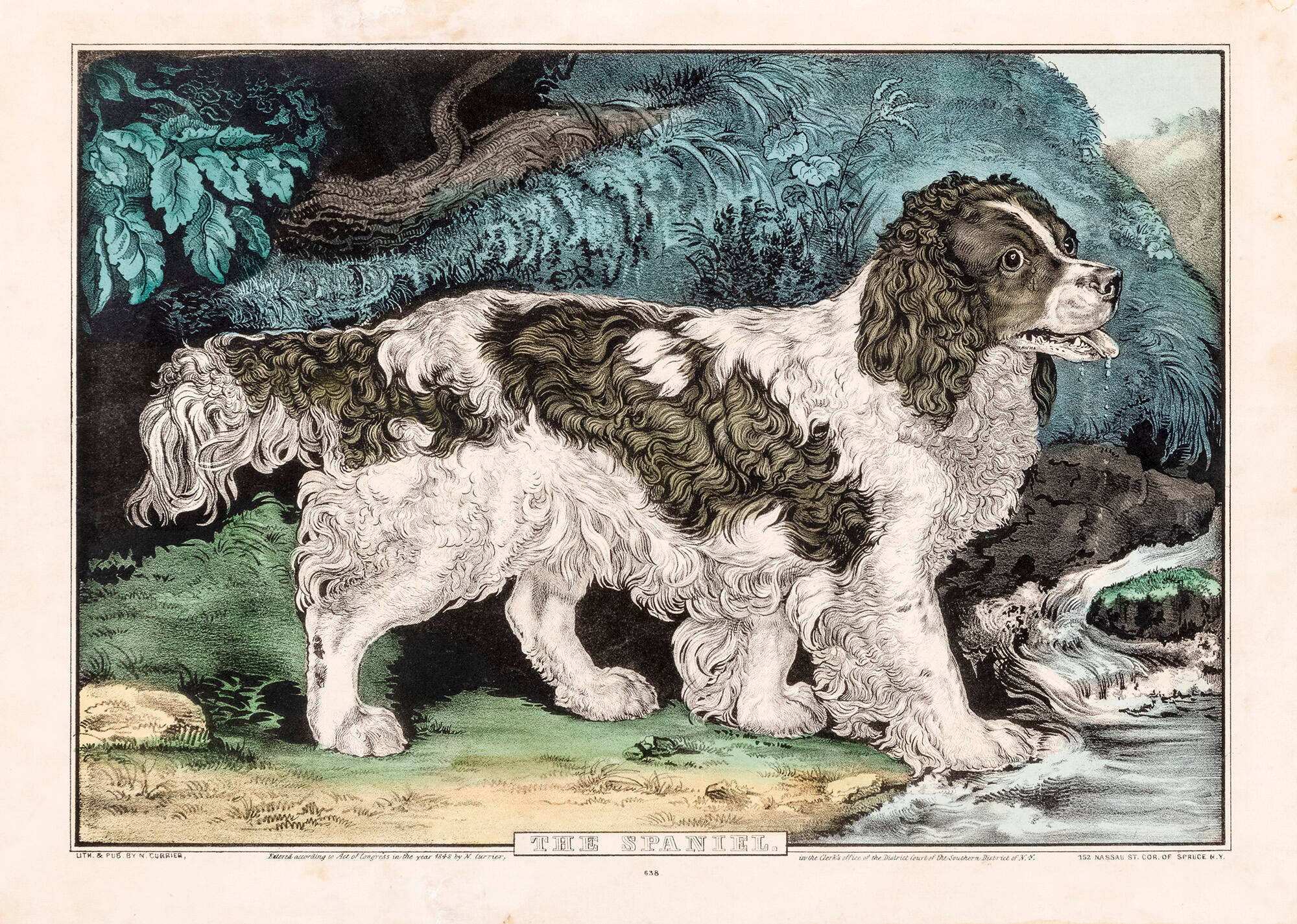 The Spaniel