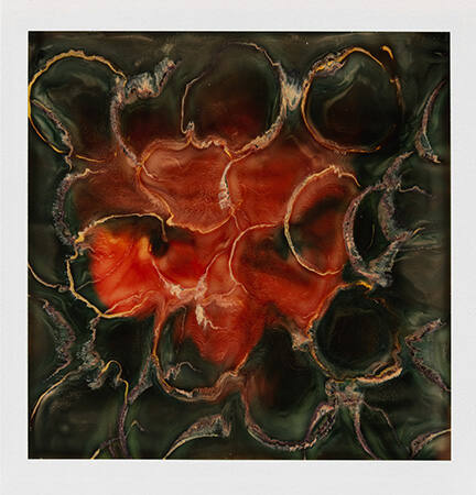 Photo-Transformation 11/11/73