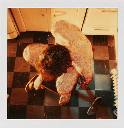 Photo-Transformation 12/30/73