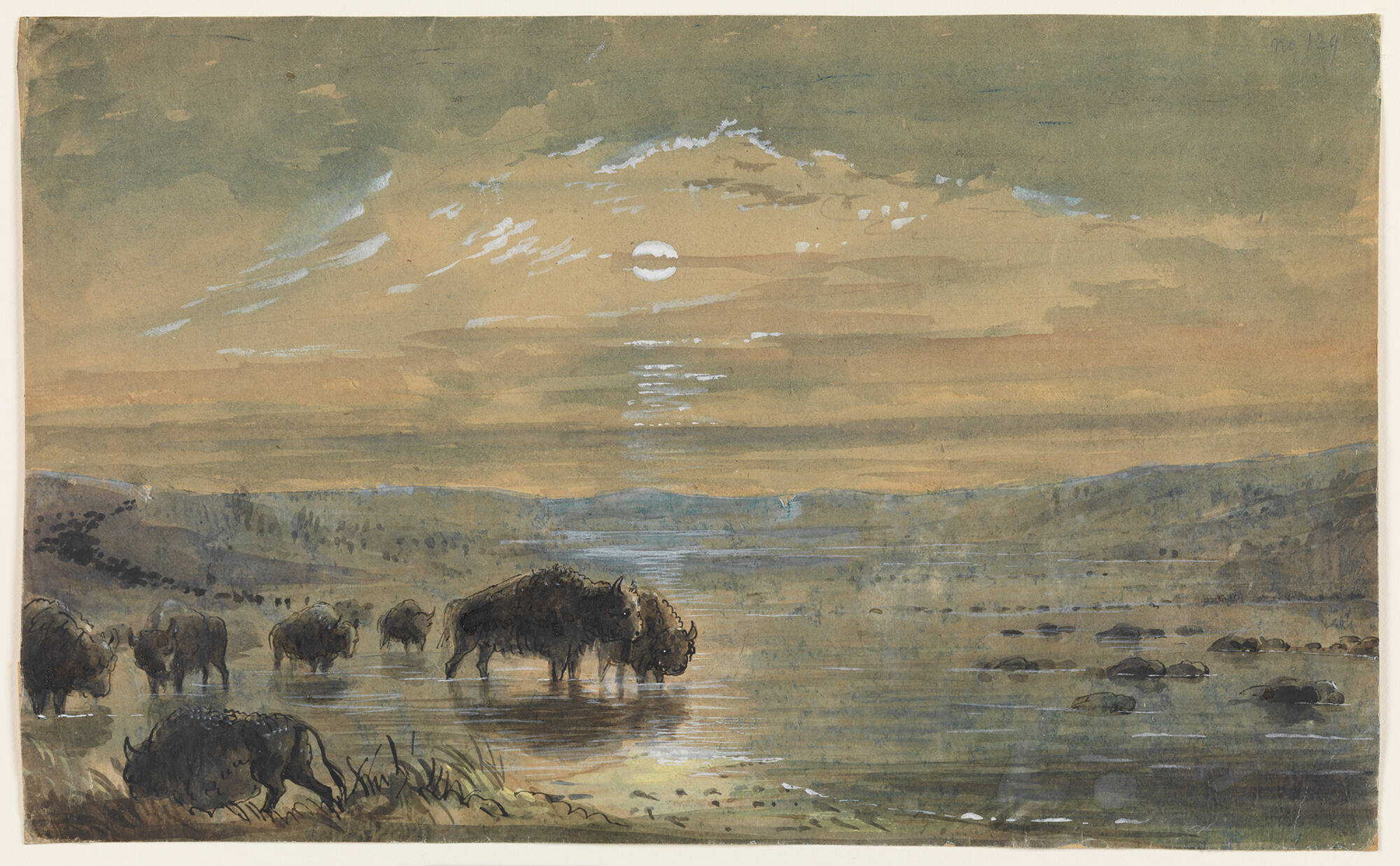 Night Scene–Buffaloes on the Platte