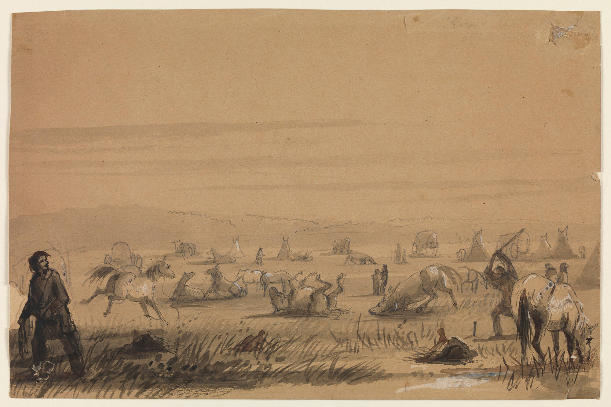 Reaching Camp, Removing the Saddles