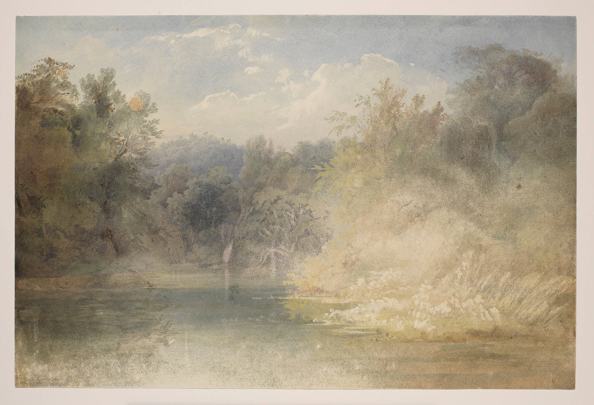 Forest Scene on the Lehigh
