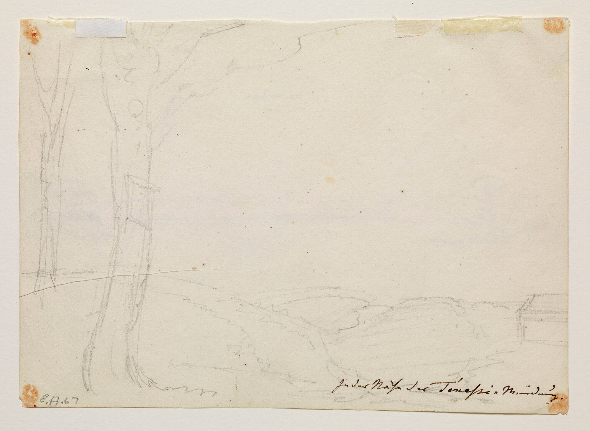 Untitled (faint pencil sketch of trees)