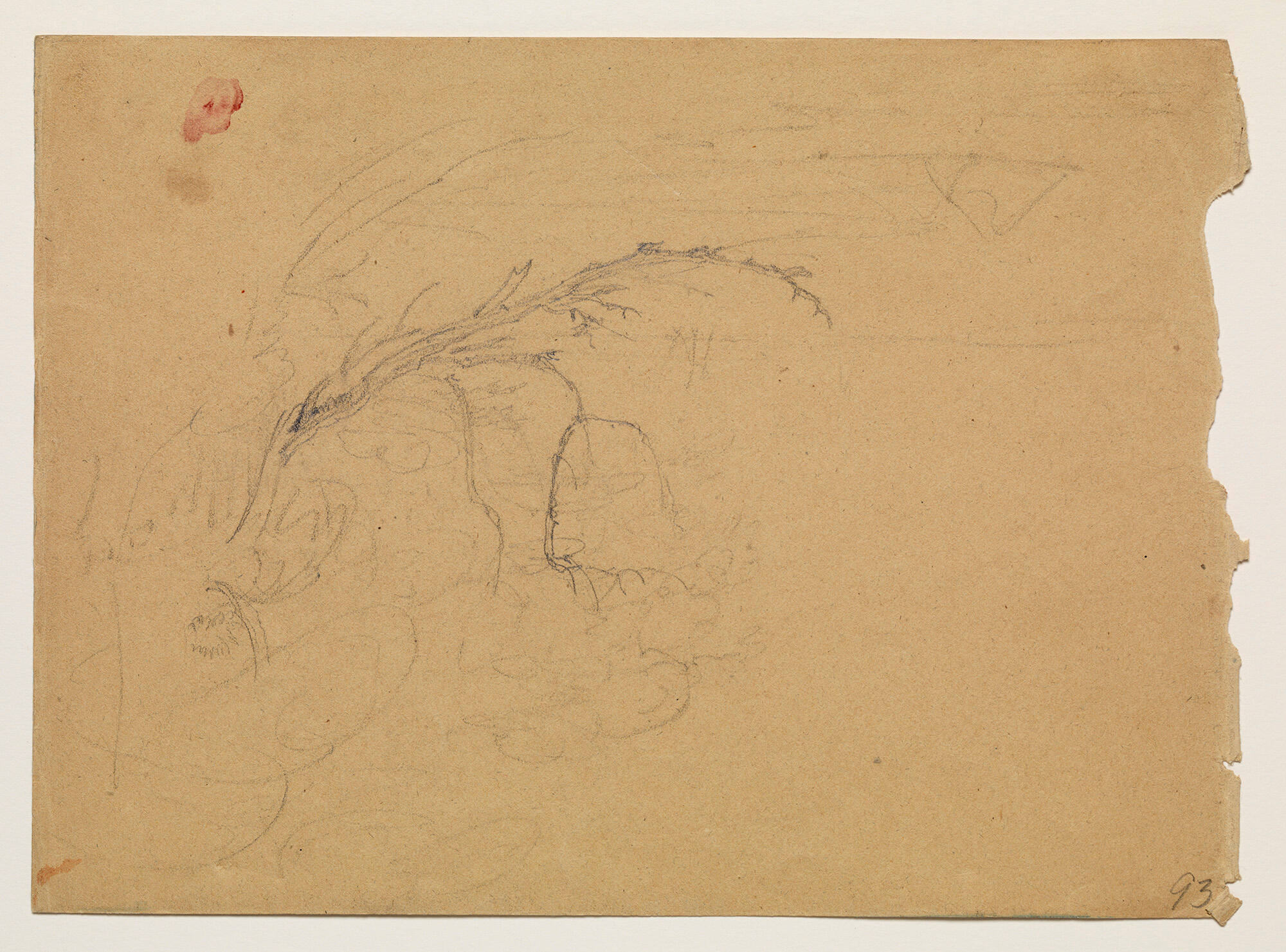 Untitled (sketch of leaning tree limb)