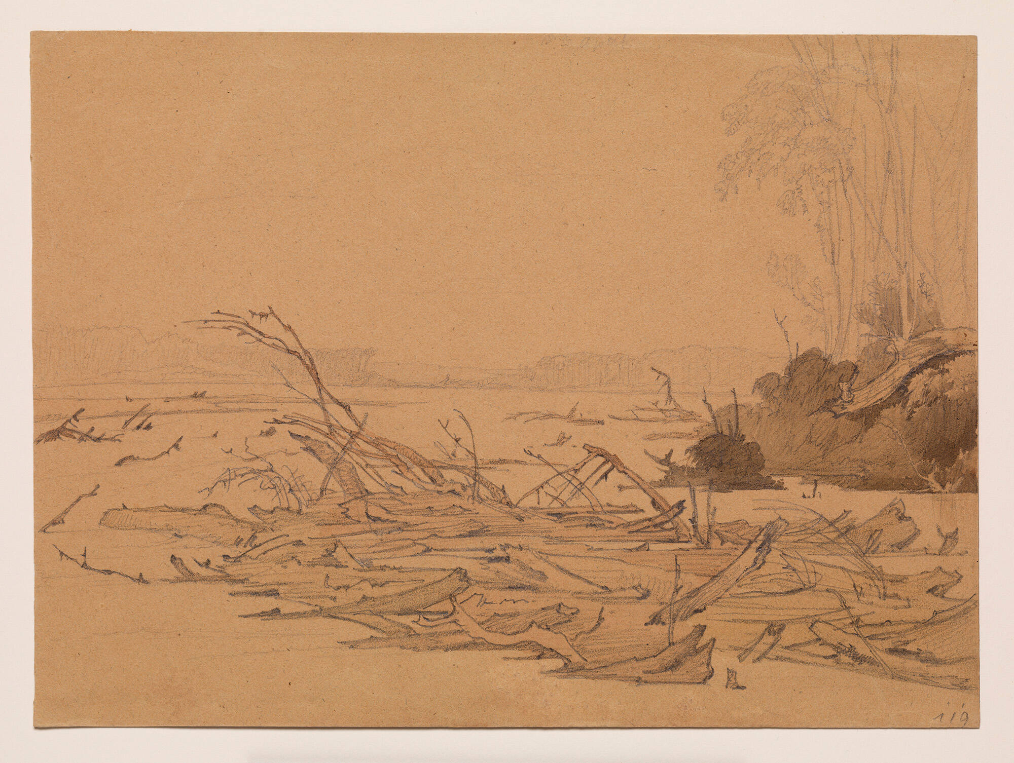 Snags on the Missouri