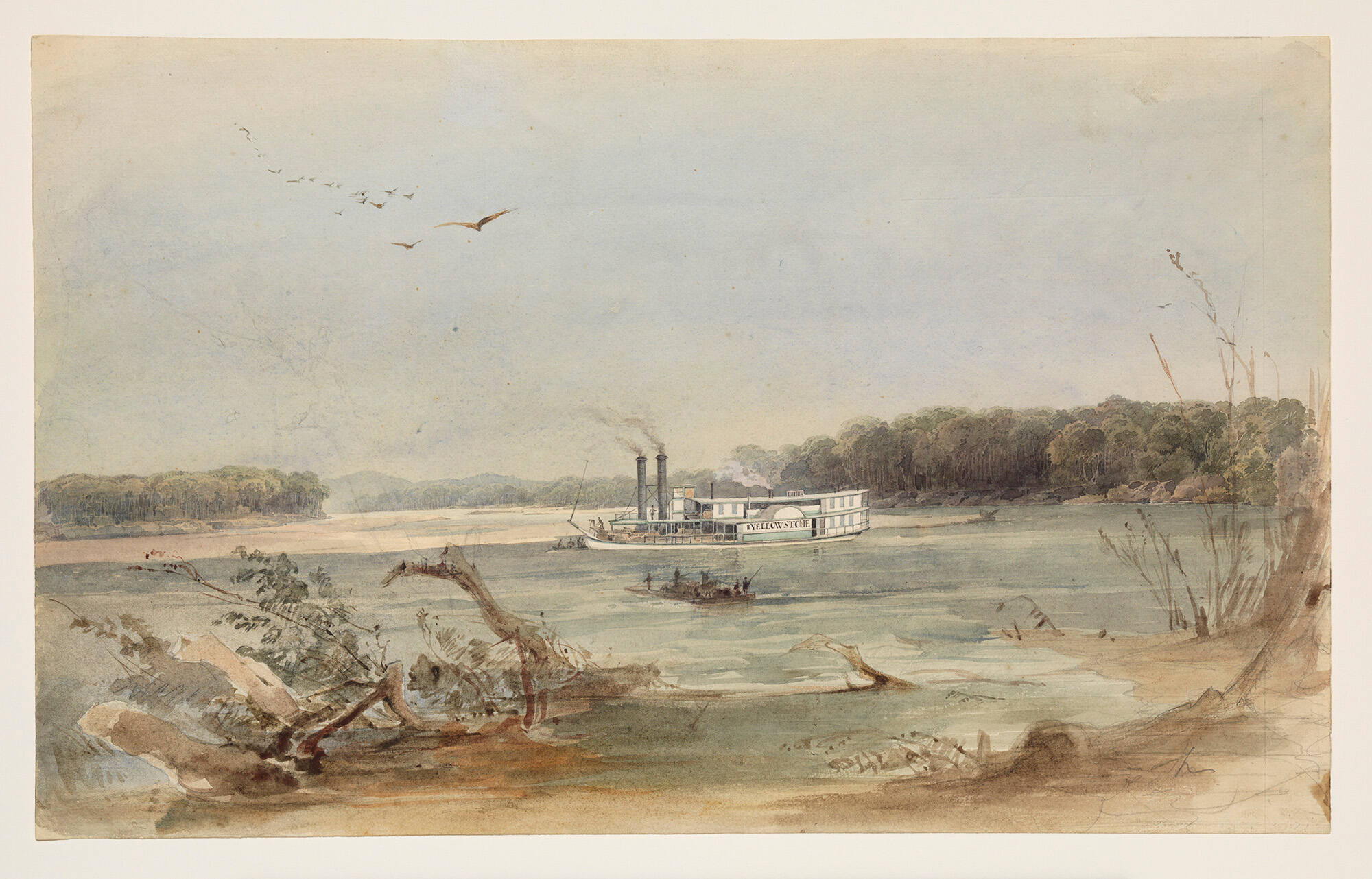 Steamboat Yellow Stone