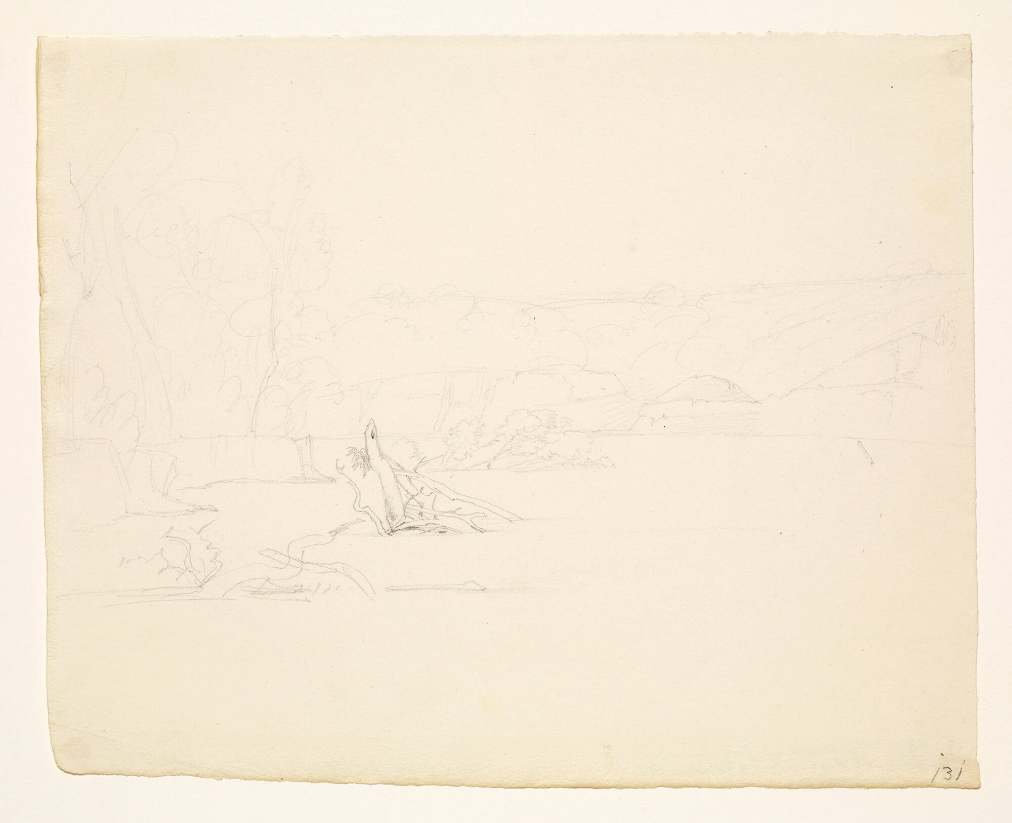 Where We Gathered Wood