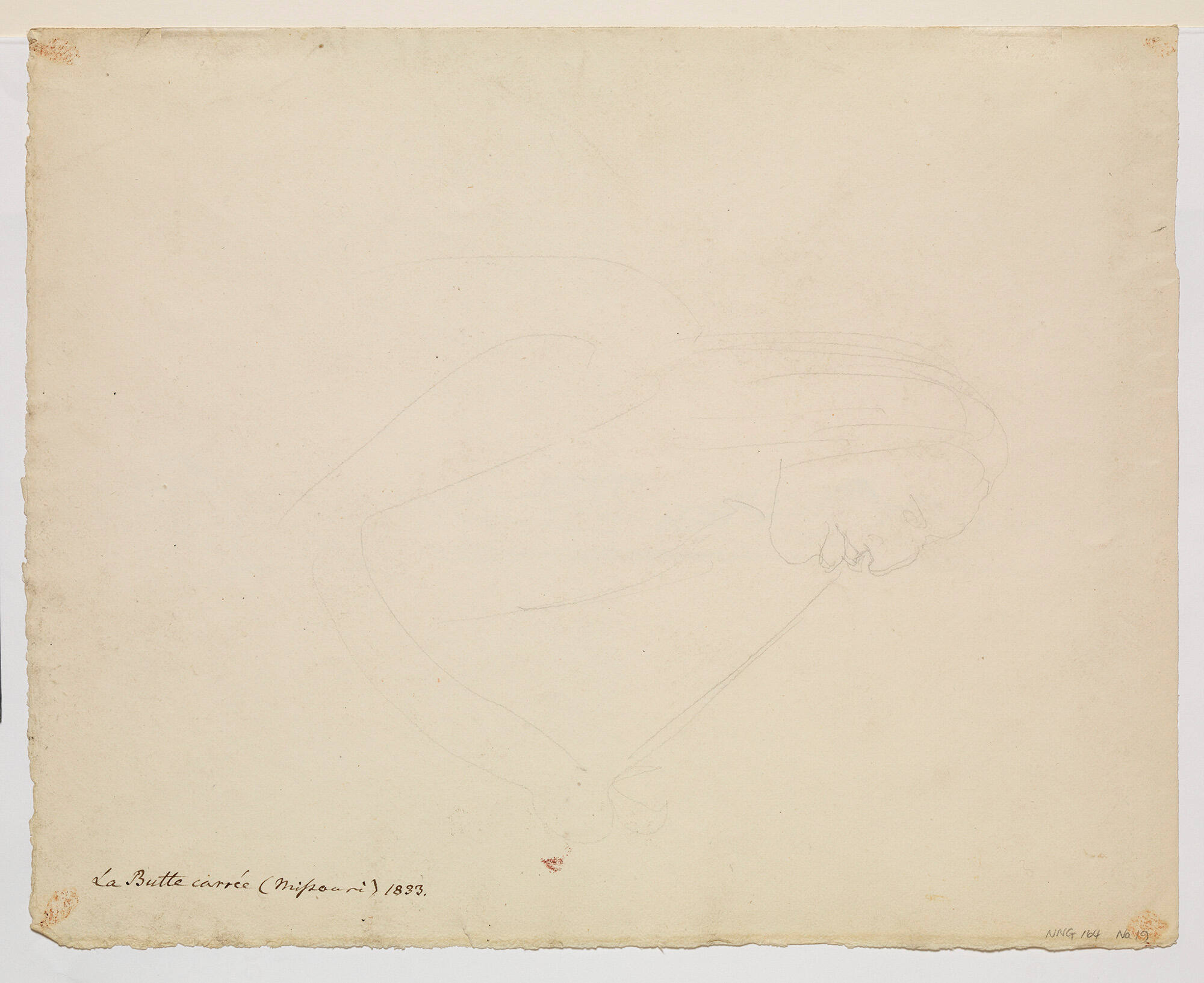 Untitled (faint sketch of Indian profile portrait, half length)