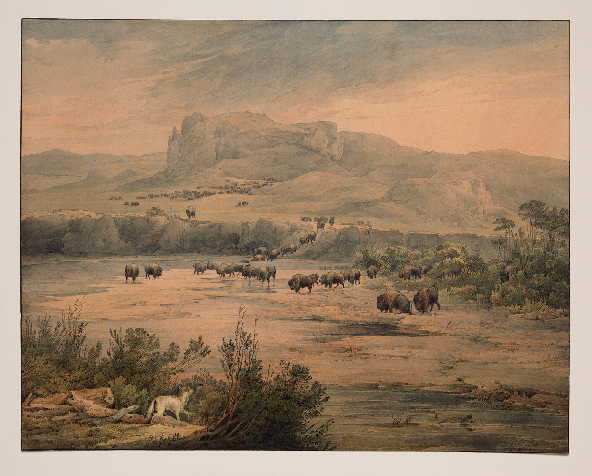 Landscape with Herd of Buffalo on the Upper Missouri