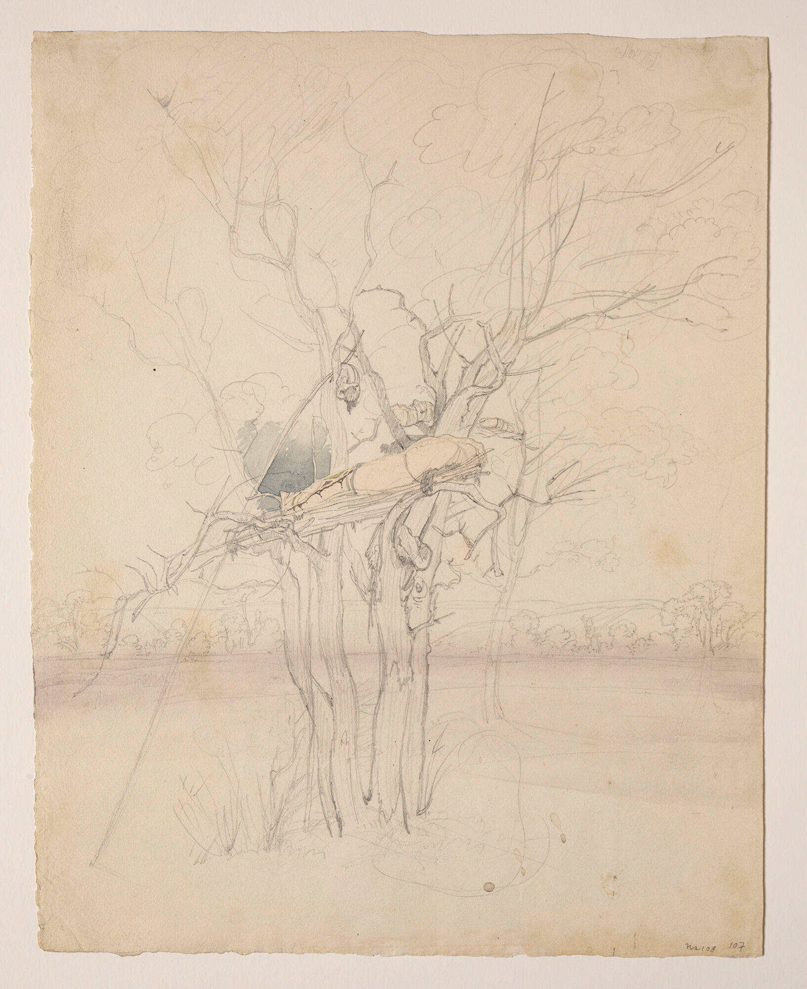 Sioux Scaffold Burial