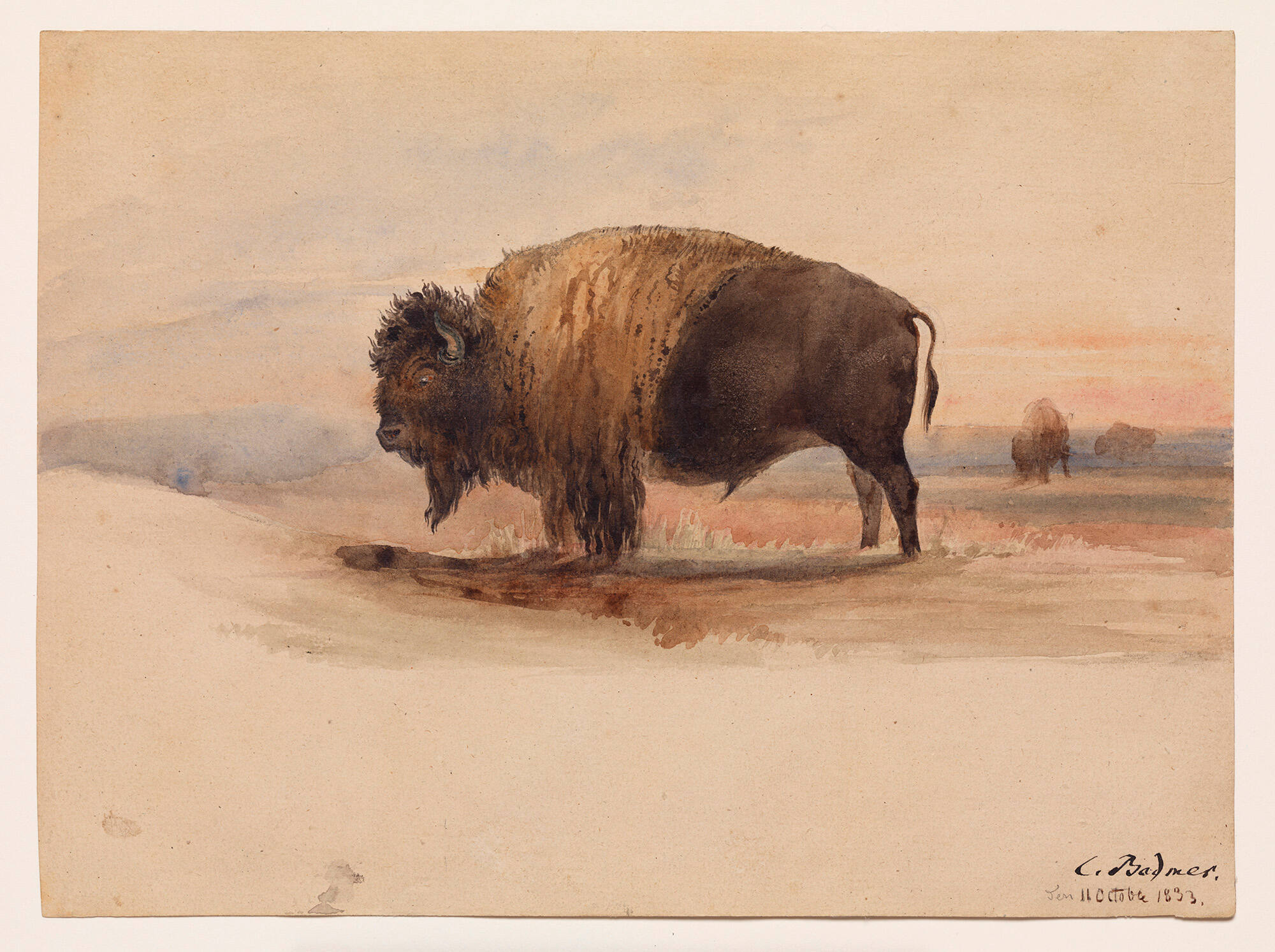 Study for a Buffalo Hunt