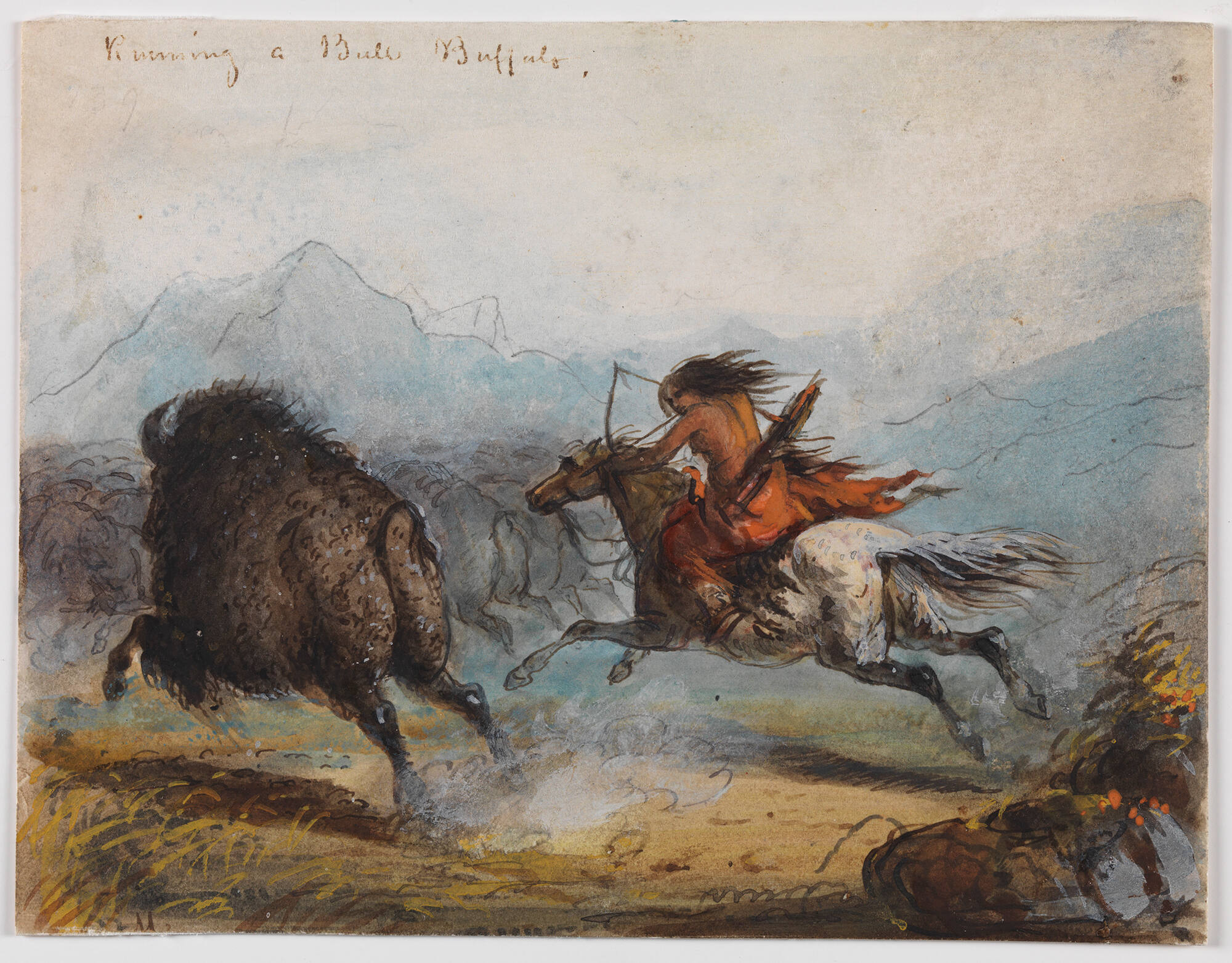 Indian Female Running a Buffalo