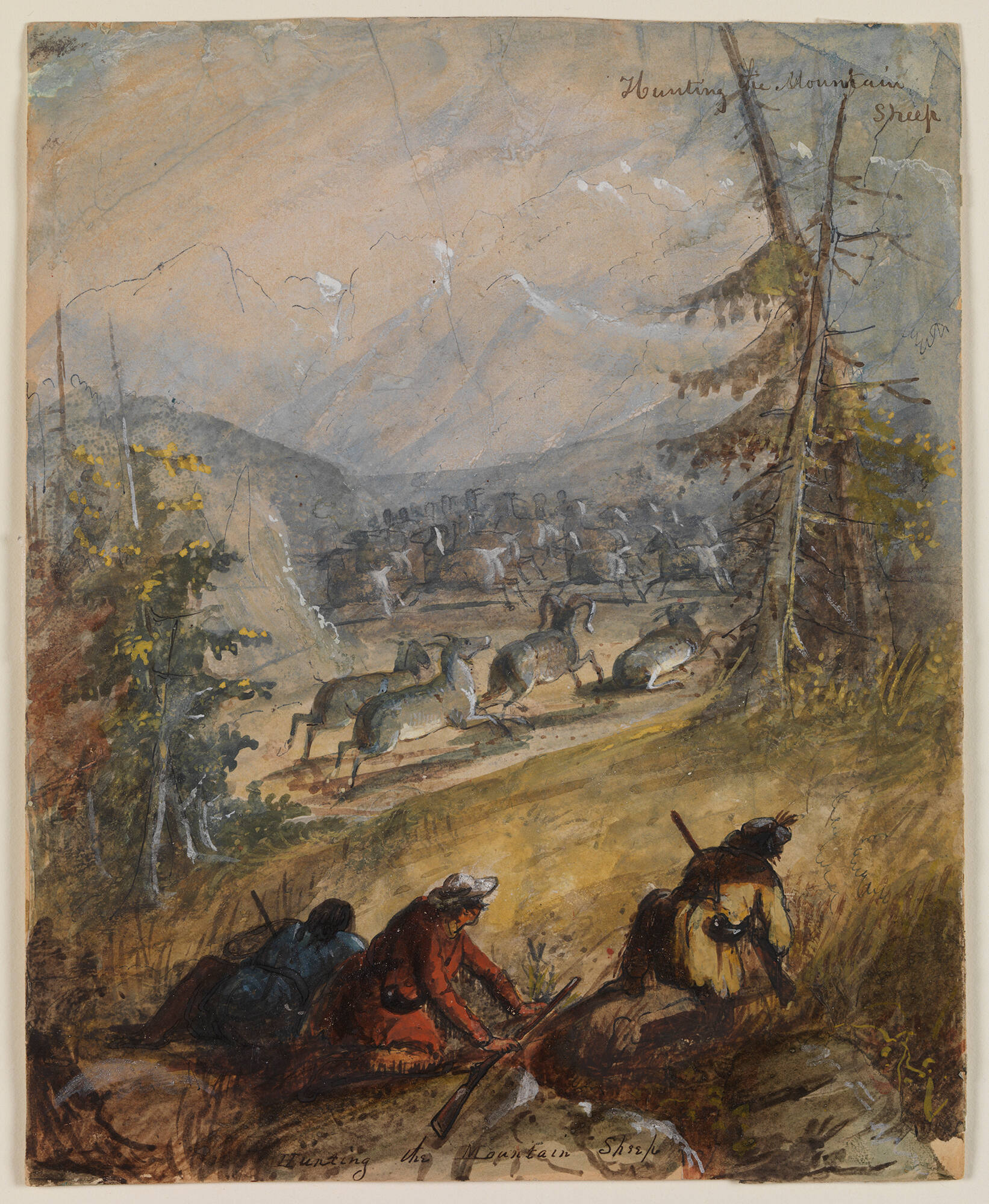 Hunting the Mountain Sheep