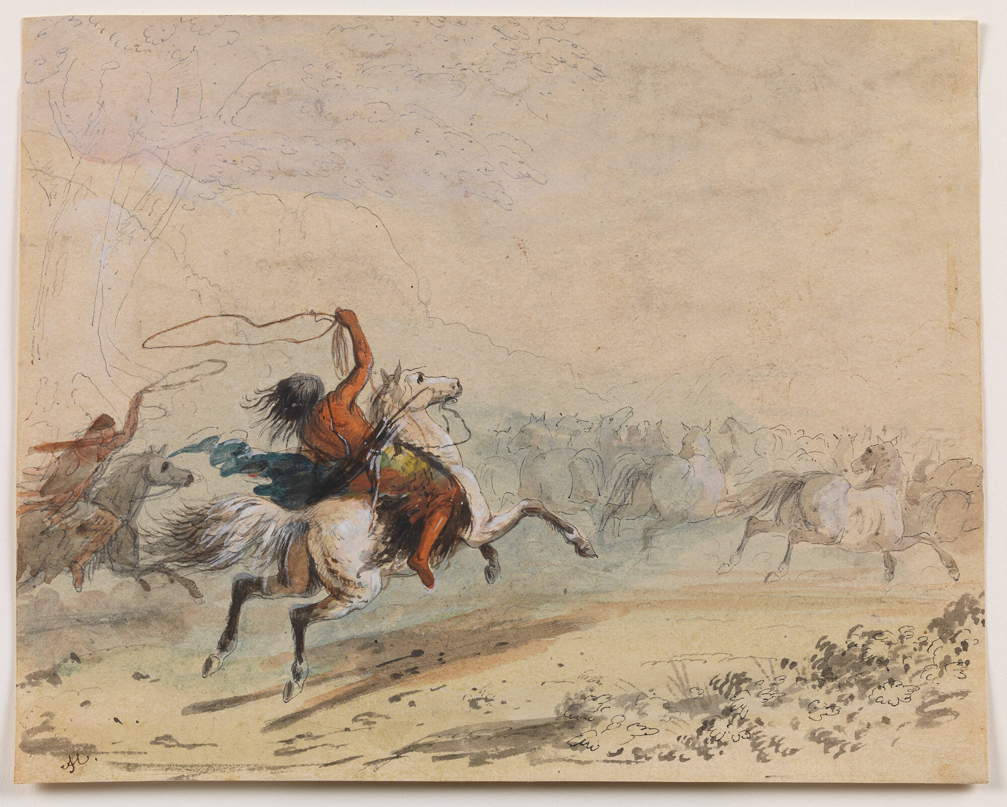Lassoing Wild Horses