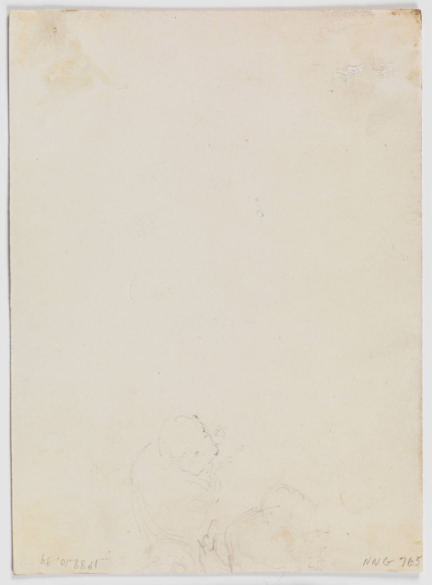 Untitled (Sketch of horse head and charging buffalo)