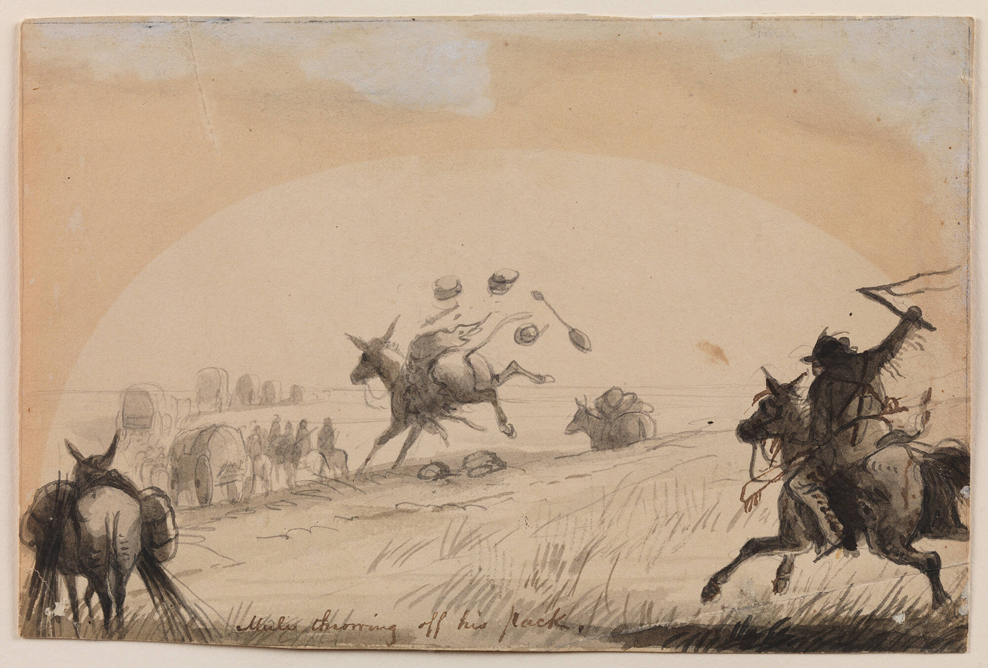 Mule Throwing Off His Pack