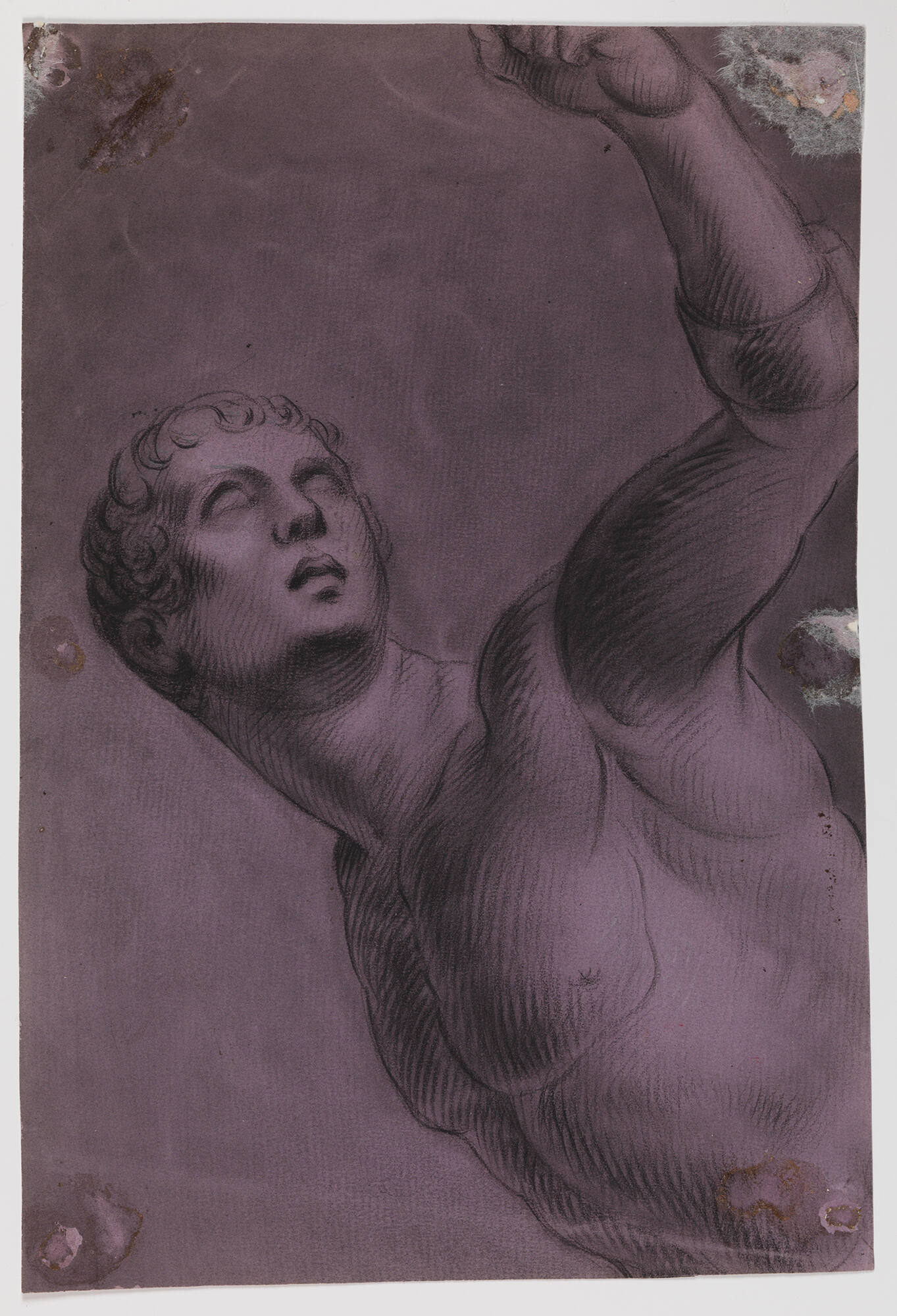 Untitled (Sketch of naked torso of a young man with proper left arm raised above his head)