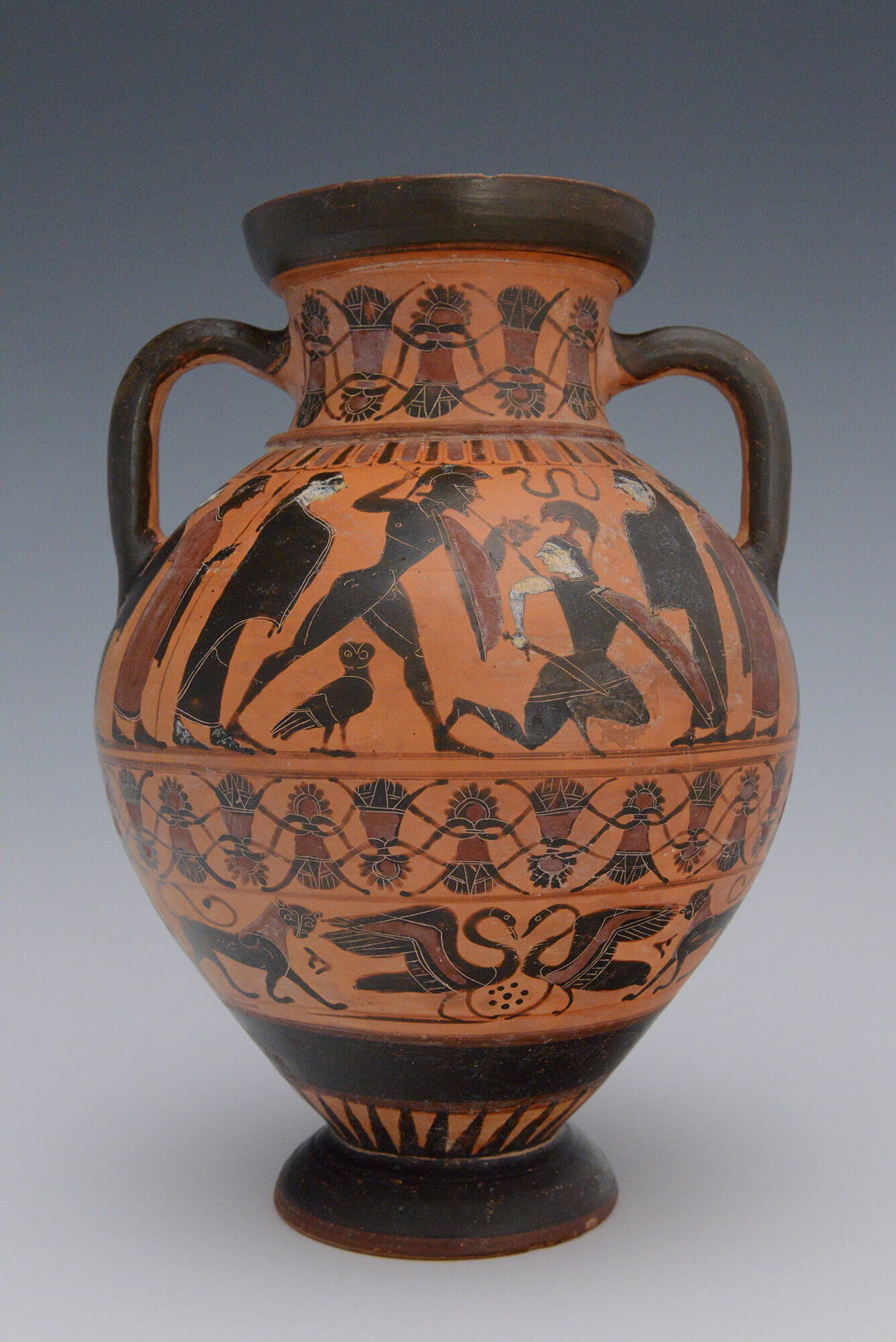 Black-Figure Ovoid Neck Amphora (jar)