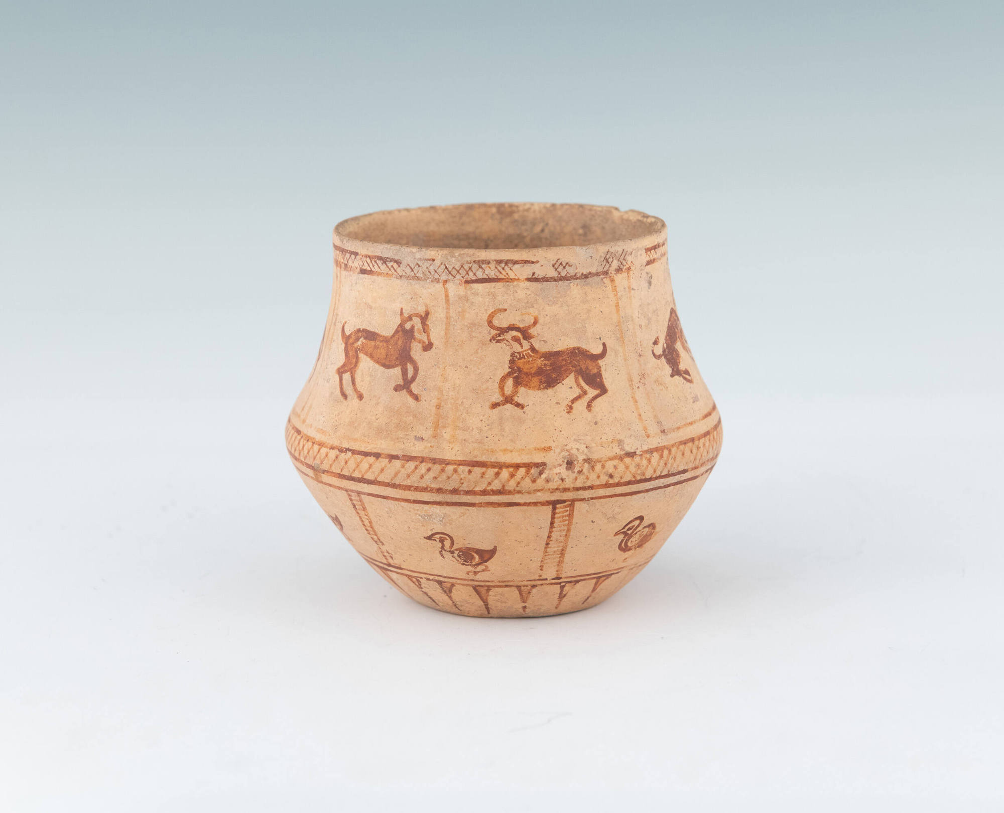 Cup with Bulls