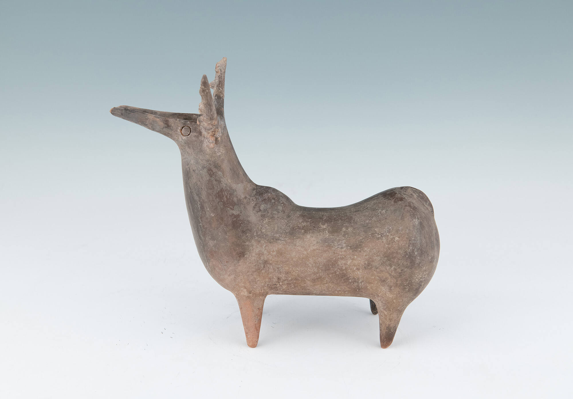 Stag Vessel