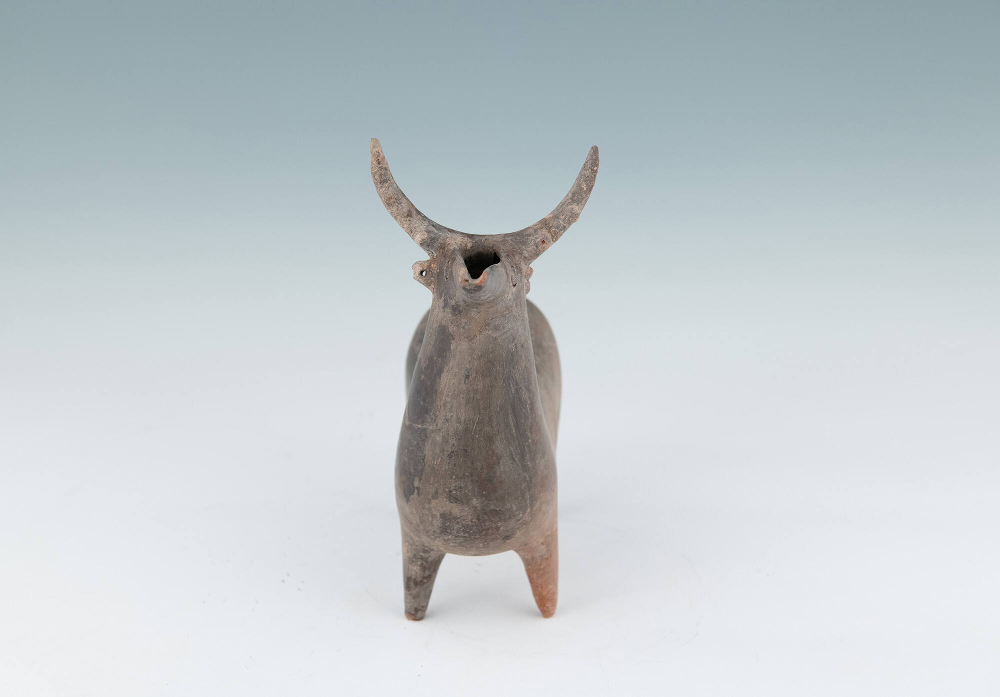 Stag Vessel