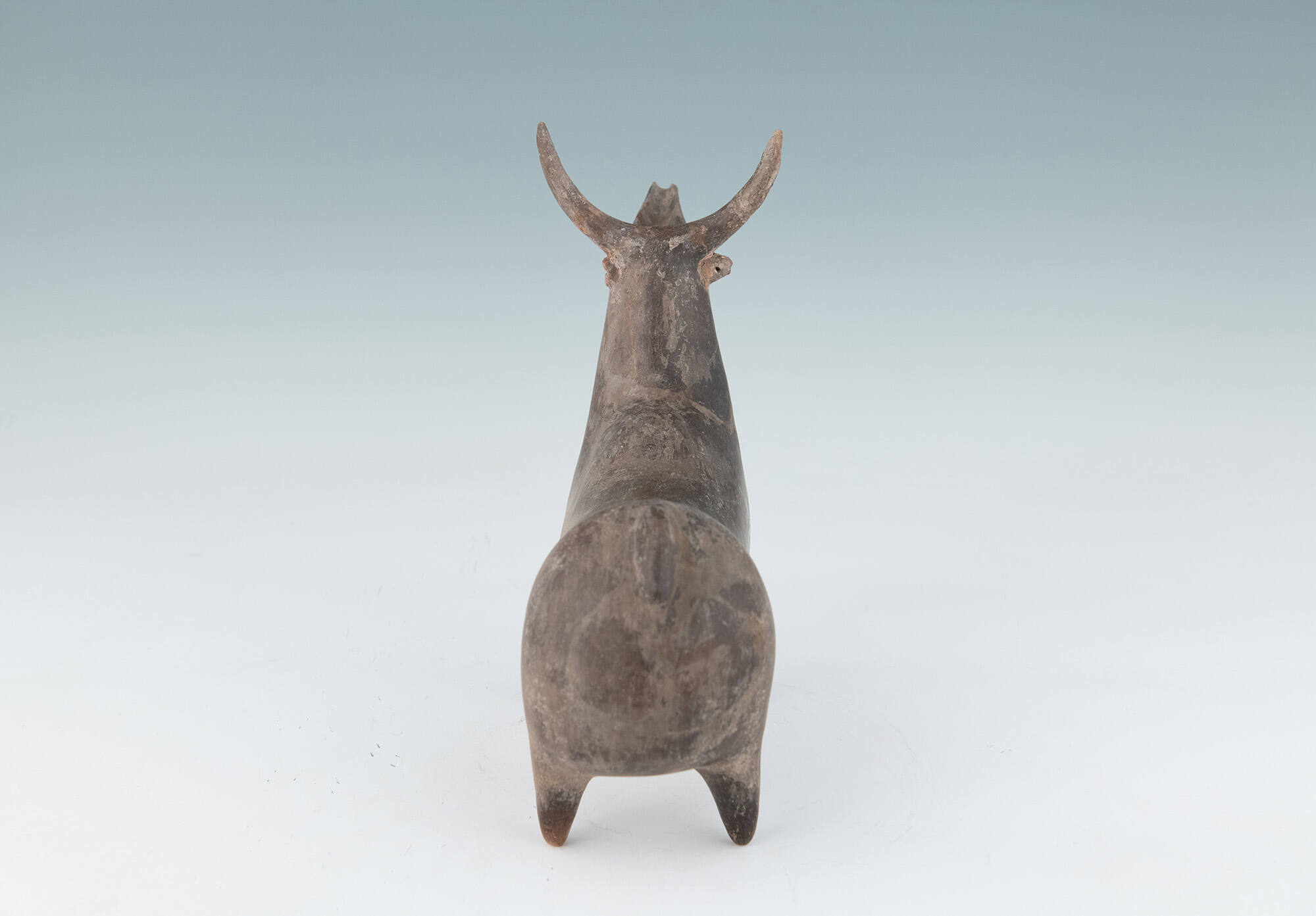Stag Vessel