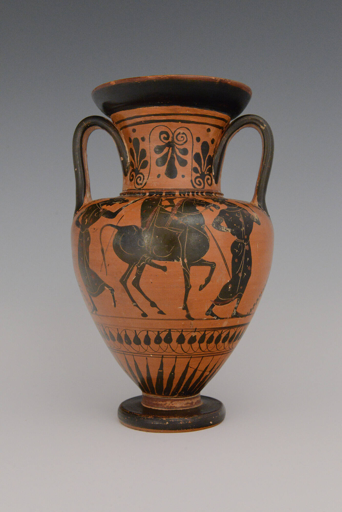 Black-Figure Neck Amphora (container)